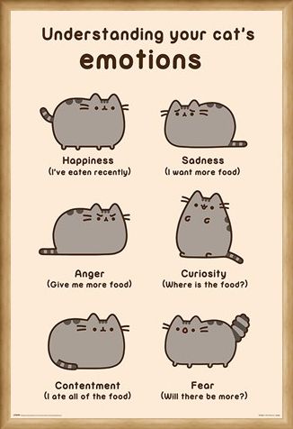Framed Framed Cats Emotions - Pusheen
