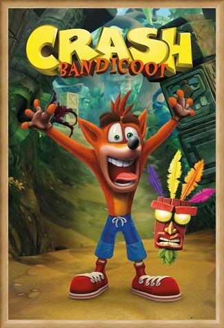 Framed Framed Crash and Aku Aku - Crash Bandicoot