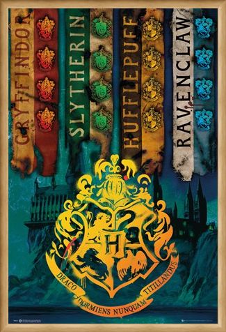 Framed Framed House Flags - Harry Potter