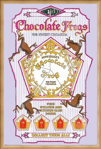 Framed Framed Honeydukes Chocolate Frogs - Harry Potter