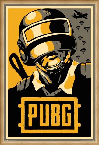 Framed Framed Hope - PUBG