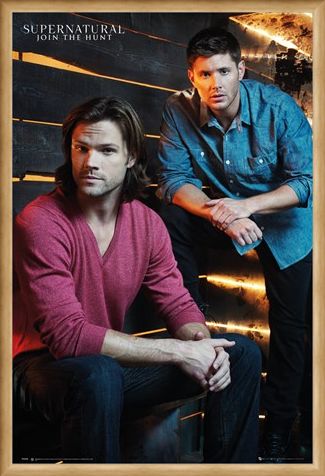 Framed Framed The Winchester Brothers - Supernatural