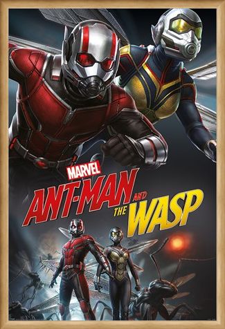 Framed Framed Ant-Man and The Wasp Dynamic - Marvel
