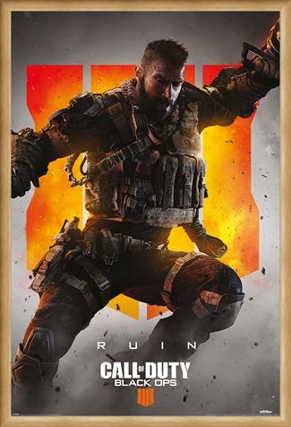 Framed Framed Ruin - Call Of Duty: Black Ops 4