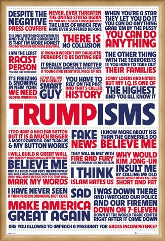 Framed Framed Trumpisms - President Trump