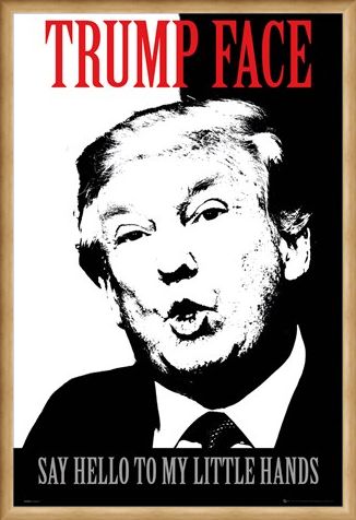 Framed Framed Say Hello To My Little Hands - Trump Face