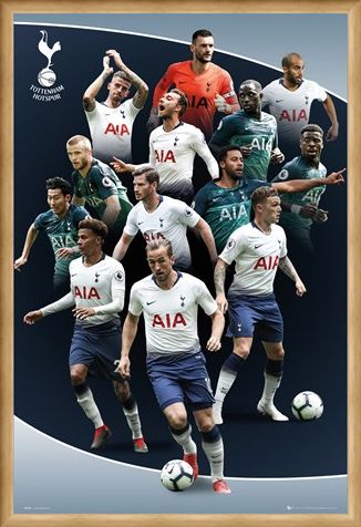 Framed Framed Players 18-19 - Tottenham Hotspur
