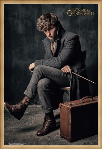Framed Framed Newt Scamander - Fantastic Beasts 2