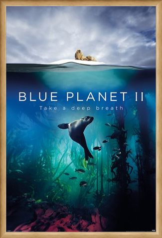 Framed Framed Take A Deep Breath - Blue Planet 2