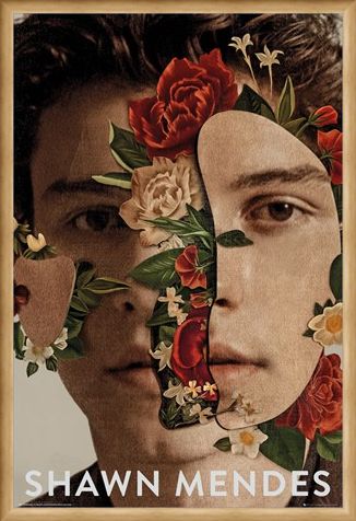 Framed Framed Flowers - Shawn Mendes