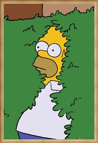 Framed Framed Homer Bush - The Simpsons