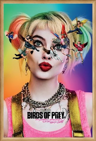 Framed Framed Seeing Stars - Birds Of Prey