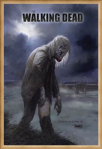 Framed Framed Flesh Eating Walker! - The Walking Dead