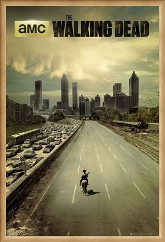 Framed Framed Andrew Lincoln Is Rick Grimes - The Walking Dead