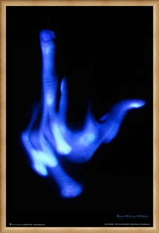 Framed Framed The Finger - David Wilhelm