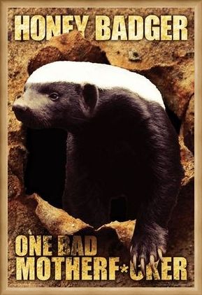 Framed Framed One Bad Mother F*cker - Honey Badger