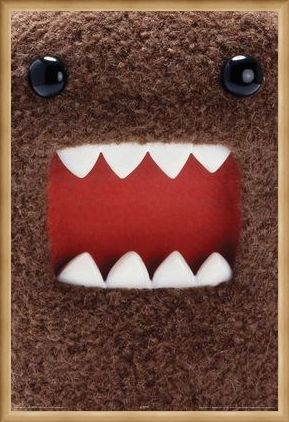 Framed Framed Extreme Close Up - Domo