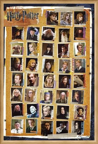Framed Framed Character Montage - Harry Potter