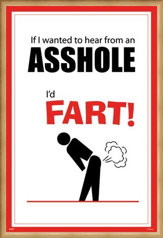 Framed Framed If I Wanted To Hear From An Asshole - I'd Fart