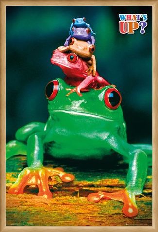 Framed Framed What's Up? - Five Frog Pyramid