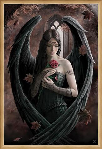 Framed Framed Angel Rose - Anne Stokes