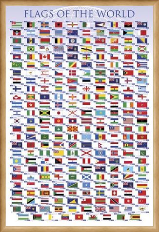 Framed Framed Flags of the World - Educational Chart