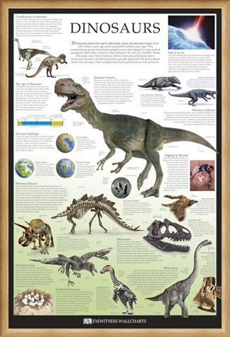Framed Framed Dinosaurs - Dorling Kindersley