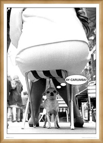 Framed Framed Ay-Carumba - Dog Under Chair
