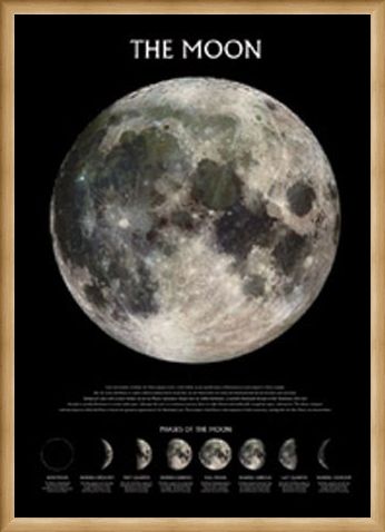 Framed Framed Phases of the Moon - The Moon