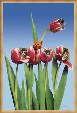 Framed Framed Kittens in Tulips - Cute Little Kittens