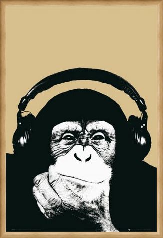 Framed Framed Monkey with Headphones - Steez