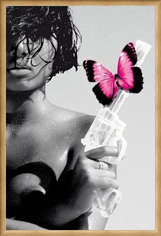 Framed Framed Killing me Softly - Dangerous Diva
