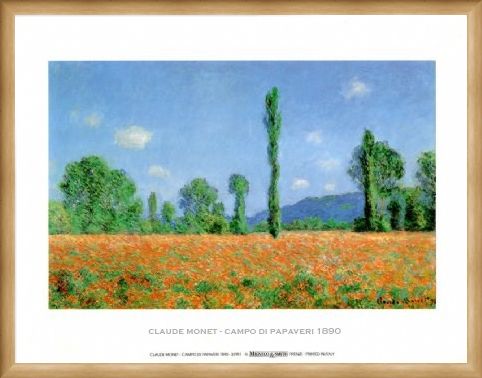 Framed Framed Poppy Field - Claude Monet