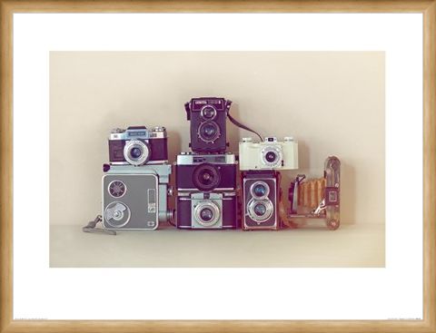 Framed Framed Camera Collection - Ian Winstanley