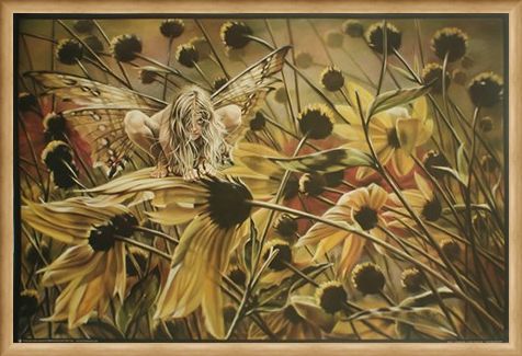 Framed Framed Chameleon Fairy - Sheila Wolk