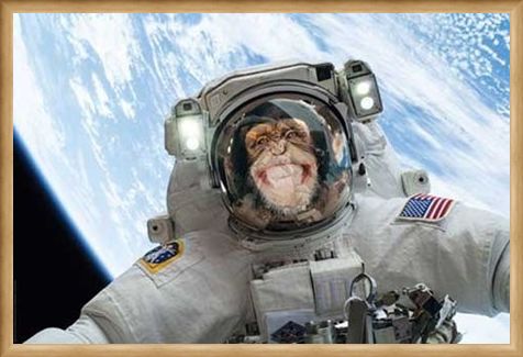 Framed Framed Out Of This World - Cheeky Chimp