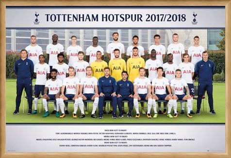 Framed Framed Photo 17-18 - Tottenham Team