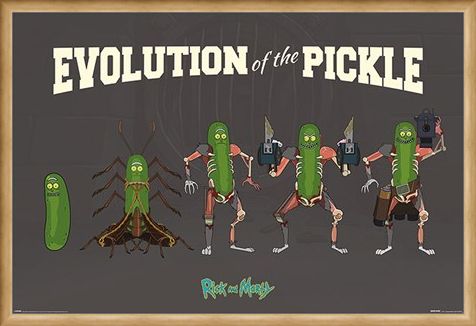 Framed Framed Evolution Of The Pickle - Rick and Morty