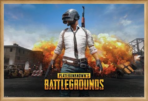 Framed Framed Playerunknown - PUBG