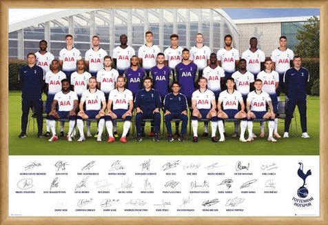 Framed Framed Team Poster 18-19 - Tottenham Hotspur