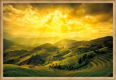 Framed Framed Rice Fields Of Yên Bái - Mountain Masterpiece