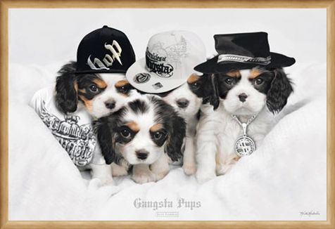 Framed Framed Gangsta Pups - Keith Kimberlin