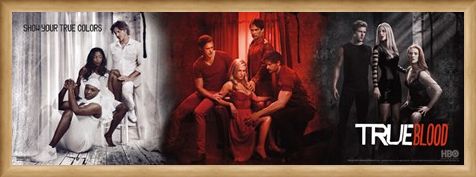 Framed Framed Show Your Colours - True Blood Montage