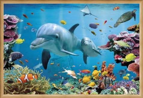 Framed Framed Underwater Dolphin Fantasy - Tropical Dolphins