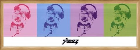 Framed Framed DJ Doggie Quad - Steez