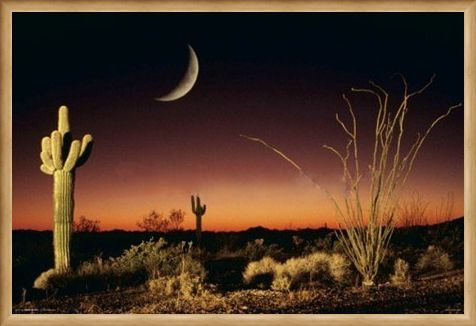 Framed Framed Desert Silhouette - Arizona Landscape
