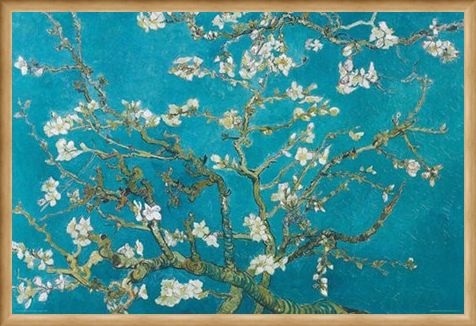 Framed Framed Almond Blossom (1890) - Vincent Van Gogh