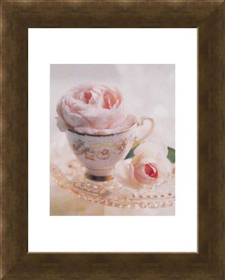 Framed Framed Pale Pink II - Lina Ricci