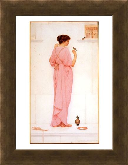 Framed Framed Song Birds - George Lawrence Bulleid