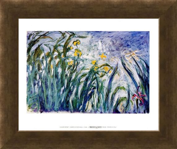 Framed Framed Campo Di Fiori Gialli - Claude Monet